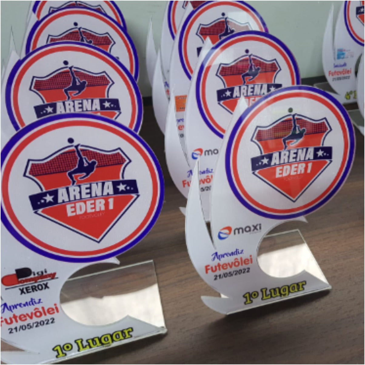 Troféu em Acrílico - modelo 02